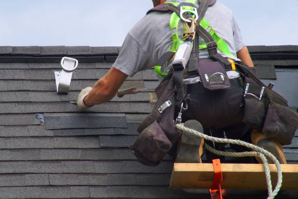 Best New Roof Installation  in Lake Panasoffkee, FL
