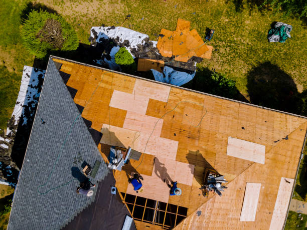 Best Roof Gutter Cleaning  in Lake Panasoffkee, FL