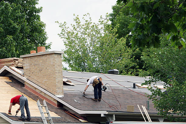 Roof Gutter Cleaning in Lake Panasoffkee, FL