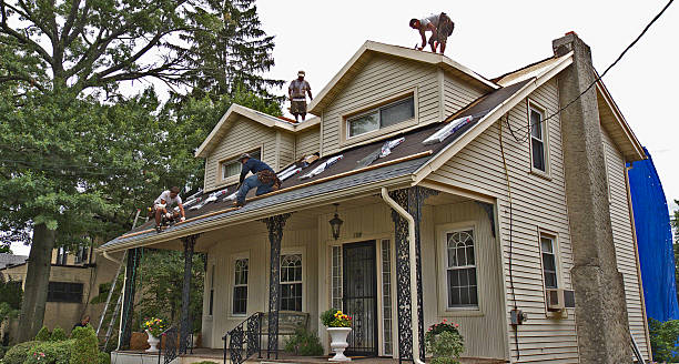 Quick and Trustworthy Emergency Roof Repair Services in Lake Panasoffkee, FL